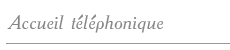 accueil t�l�phonique